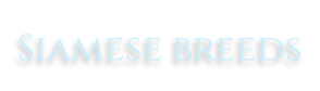 Siamese breeds