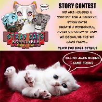 Stray Cats Story Contest