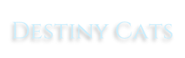 Destiny Cats